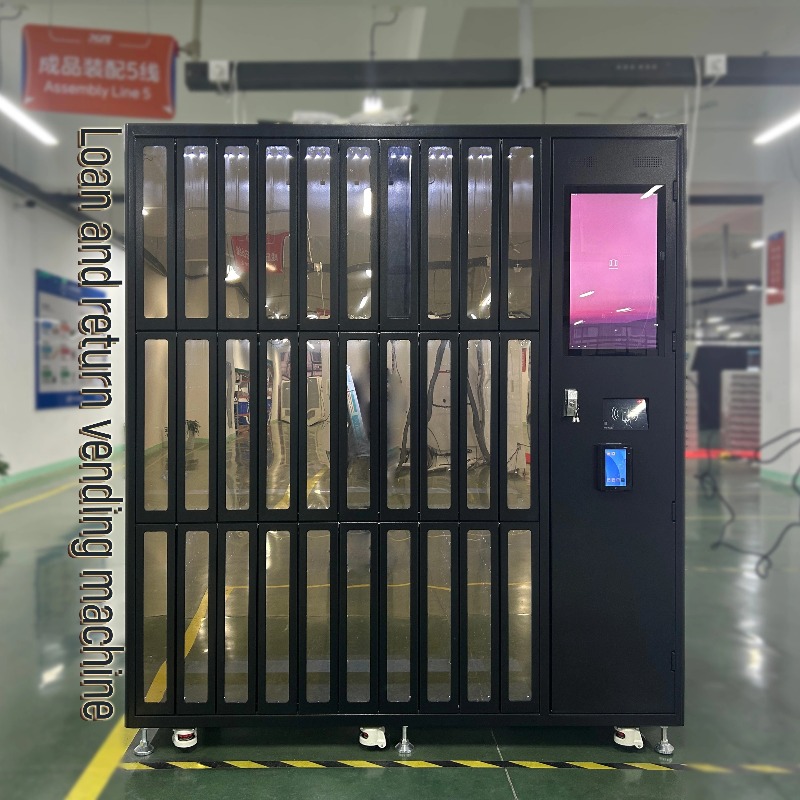 Dostosowane narzędzia do wypoż – Sports Equipment Locker recenzja i cena